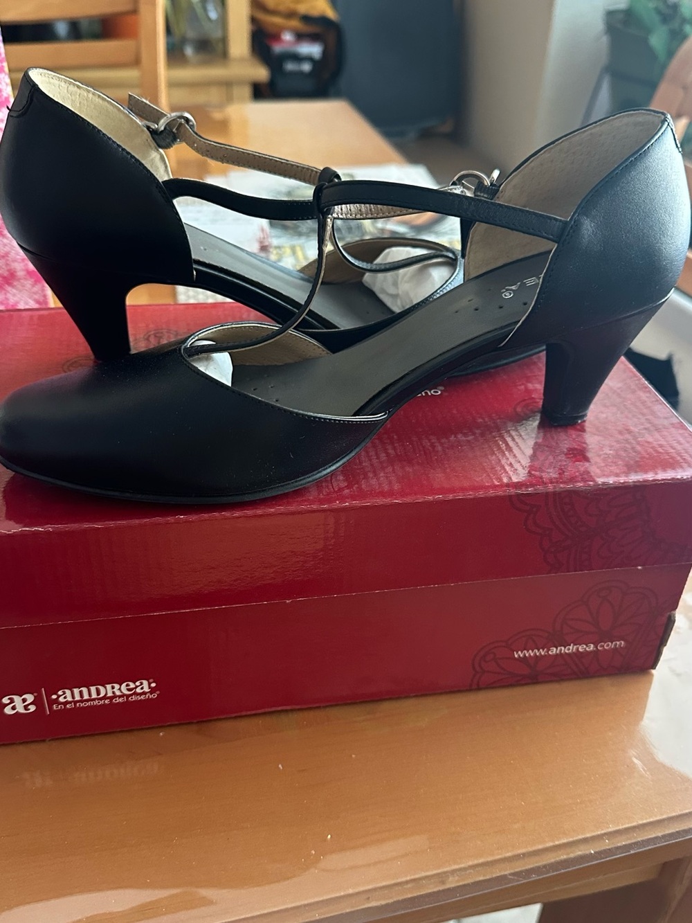 ANDREA FENZI Black Strappy Mid-Heel Mary Jane Pumps